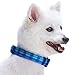 Blueberry Pet Soft & Comfy Scottish Hudson Blue Plaid Tartan Designer Padded Dog Collar, Adjustable, Medium, Canvas & Neoprene, Dog Collars for Medium Dogs, Soft Padded, Eco Friendly
