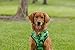 EcoBark Dog Harness - Eco-Friendly Max Comfort Harnesses - Luxurious Soft Mesh Halter - Over The Head Harness Vest- No Pull and No Choke for Small, Toy Breed, and Teacup Dogs (XS, Camo)