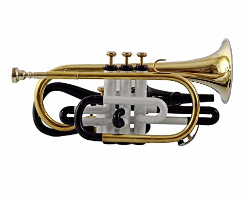 WHITE COLOR ECHO CORNET Bb PITCH FOR SALE WITH FREE HARD CASE AND MOUTHPIECE