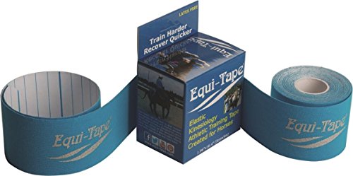 RS ANIMAL HEALTH 074017 Equi-Tape Kinesiology Training & Rehab Tape Blue, 2 Inchx16 Foot