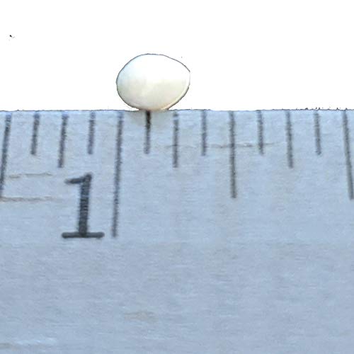 3 Poly+Plastic+Pellets+Weighted+Blankets