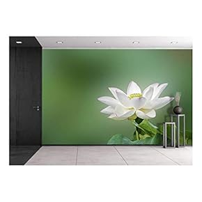 a Bloom Lotus with Seed and Leaf in Summer - Removable Wall Mural | Self-Adhesive Large Wallpaper - 66x96 inches