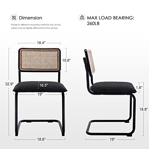 Zesthouse MidCentury Modern Dining Chairs, Accent Rattan Kitchen