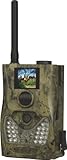 BolyGuard/ScoutGuard SG550M-8M 2012 GPRS/GSM LongRange 8MP MMS/Email Game Scouting Trail Hunting Camera