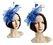 Cizoe Fascinators Hat for Women Tea Party Headband Kentucky Derby Wedding Flower Cocktail Mesh Feathers Hair Clip(1-Royal Blue)
