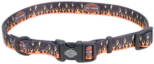 harley davidson leather dog collar