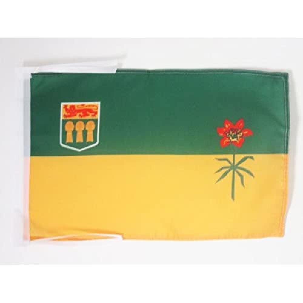 AZ FLAG - Saskatchewan Flag - 18'' x 12'' - 100% Polyester Canada - Canadian region of Saskatchewan Small Banner with Two Cords - Fade Resistant - Vivid Colors - 18x12 in - 45x30 Cm โ image 1