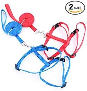 Lil Lion Cat Harness and Leash Adjustable Collar Nylon Blue Red 1 2 Pack One Size Fits All Dog Puppy