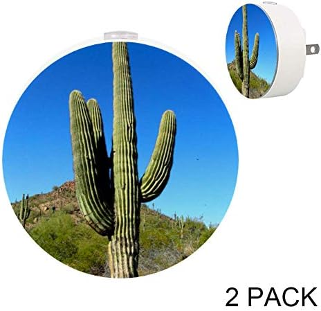 Moutain Cactaceae Plug in LED Automatic Light for Bedroom, Hallway and Kitchen, Pack 2