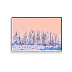 Framed Canvas Wall Art for Living Room, Bedroom Beautiful Cure View Canvas Prints for Home Decoration Ready to Hanging - 16x24 inches