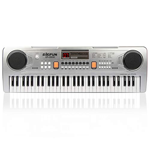 LeeQee Digital Keyboard Piano for Kids & Beginners, 61 Keys Multifunction Electric Piano Keyboard with Microphone, Educational Instrument Musical Toy for 3-12 Years Old Boys Girls (Silver)