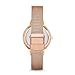 Skagen Women's Anita Stainless Steel Mesh Dress Quartz Watch