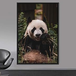 signwin Framed Canvas Wall Art Panda Animals Bear...