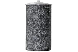 SHANGHAI DAISY LLC AquaFlame 40343 Citronella Fountain, Color-Changing LED Light, Silver, Small - Quantity 1