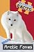 Fantastic Facts About Arctic Foxes: Illustrated Fun Learning For Kids