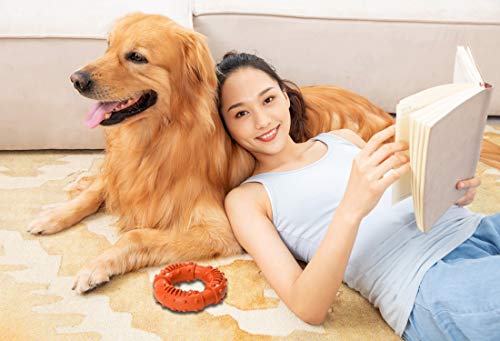 AJIEVWU Dog Chew Toys for Puppies Teething Chew Toys for Teething Indestructible Dog Toys Long Lasting Chew Toy Puppy Teething Chew Toys Perfect Training Teething Dog Chew Toys (Orange)