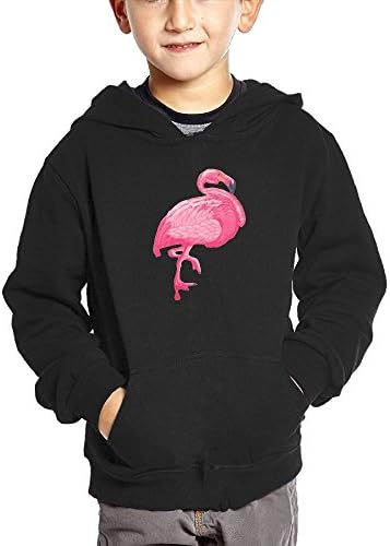 Pink Flamingo Balloon Youth Hooded Sweatshirt Pocket Pullover 4 Toddler