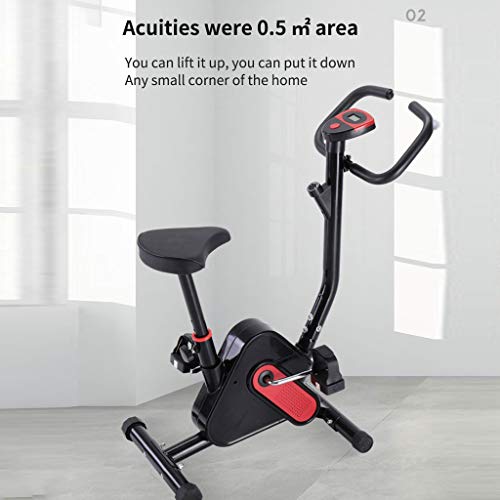 Nesee Indoor Spinning Bicycle Ultra-Quiet Exercise Bike Home Bicycle Fitness Equipment LCD Display Perfect Home Exercise Machine for Cardio(Ship from US)
