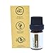 Coffee Essential Oil by Simply Earth - 5ml, 100% Pure Therapeutic Grade
