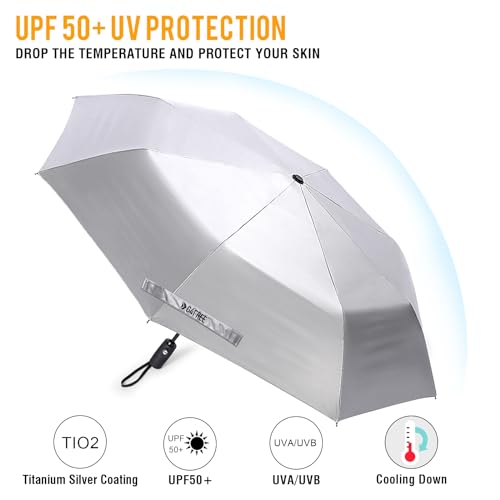 View 4
