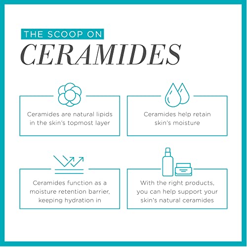 Curel Japan Skin Care Hydrating Water Essence Toner, Water Based Face