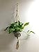 Macrame Plant Hanger Holder -4 Pack Handmade Indoor Outdoor Hanging Planter Basket Rope Holder with Ceiling Hook by Buyplus (Jute)