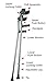 Pivit Lightweight Forearm Crutches for Walking | Adult, 5'0
