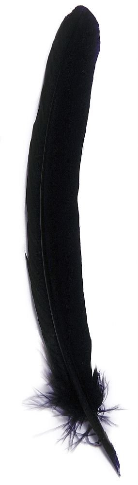 Jacques Herbin 23110T - Quill pen 28 cm blue X 10