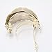 Cfalaicos Hair Accessories Leaf Ponytail Holders Hairbands Hair Circle Women Simple Ponytailer