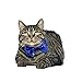Pet Cute Birthday Party Crown Hat and Blingbling Bow Tie Collar Set with Adjustable Elastic Headband and Crown Topper for Small Dogs Cats Kitten Puppy