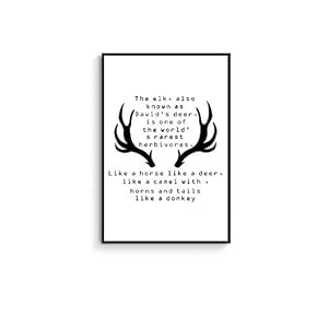 Framed Canvas Wall Art for Living Room, Bedroom Black Deer Canvas Prints for Home Decoration Ready to Hanging - 16x24 inches