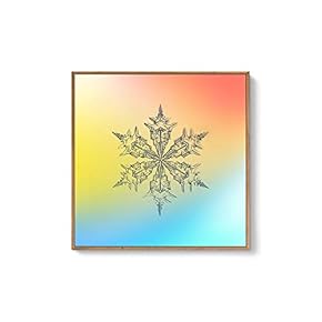 Framed Canvas Wall Art for Living Room, Bedroom Snowflake Theme Canvas Prints for Home Decoration Ready to Hang - 16x16 inches