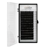 LASHVIEW Soft Application-friendly Eyelash Extension 0.15 Thickness Premium C Curl 12mm Eyelash Extensions Individual Natural Semi Permanent EyeLashes Mink Lashes (Salon Perfect Use)
