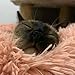Cat Beds & Furniture,Calming Dog Beds for Small Medium Dogs,Detachable Cat Bed for Indoor Cats, Anti-Slip Faux Fur Fluffy Donut Cuddler Cat Cave, Fits up to 13-40 lbs (S-20 * 20 * 7inch, Pink)