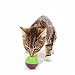 OurPets Play-N-Treat Twin Pack Cat Toy,All Breed Sizes