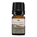 Plant Therapy Organic Egyptian Geranium Essential Oil 100% Pure, USDA Certified Organic, Undiluted, Natural Aromatherapy, Therapeutic Grade 5 mL (1/6 oz)