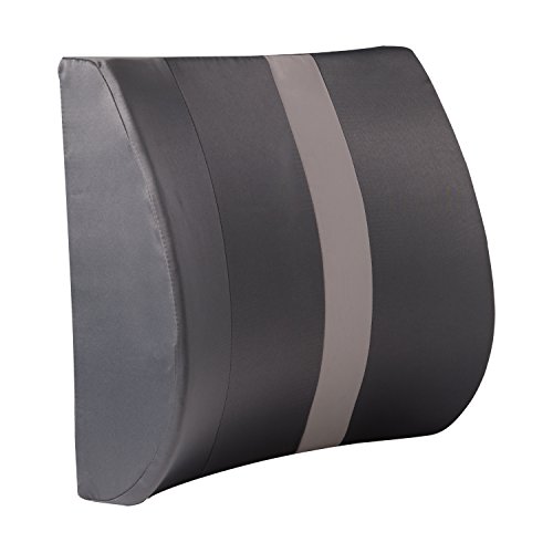 HealthSmart Lumbar Support Pillow, Back Pillow, Office Chair Pillow