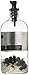 Rokz Citrus Blue Spirit Infusion Bottle, Clear, 2 Ounce
