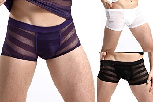 DOOYAO Men's Sexy Mesh Underwear Transparent Sheer Boxer Briefs Trunks Underpants Fashion Distinguished (XXL, 3 Pack)