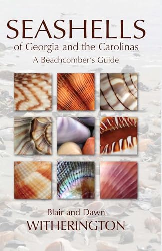 The Encyclopedia of Shells: Wye, Kenneth R.: 9780785812333: Amazon