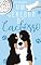 Livro Um Cérebro de Cachorro