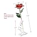 DEFAITH 24K Gold Rose Made from Real Fresh Long Stem Rose Flower, Great Anniversary Gifts for Her, Red with Stand