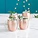 VonShef Moscow Mule Copper Mugs Set of 4 Hammered Effect Barrel Style 16oz Glasses With Gift Box