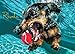 1000 Piece Jigsaw Puzzle - Adult , Couples, Children and Family Puzzles - Underwater Dogs Photo Series Pool Pawty, By Seth Casteel