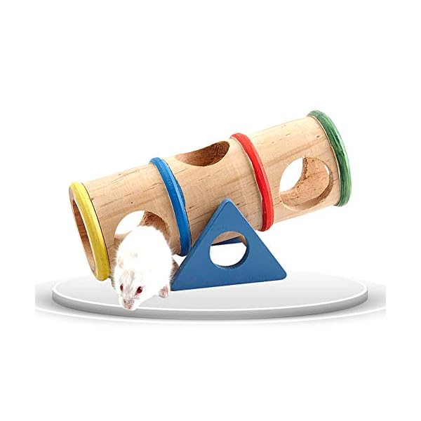 1PC-Hamster-Altalena-Colorata-di-Legno-Cilindro-Hamster-Tubi-Altalena-Giocattolo-Piccoli-Animali-Parco-Giochi-Divertirsi-Giocare-E-Digrignamento-dei-Denti-per-CricetoPorcellino-DIndiaCincilla 1PC Hamster Altalena Colorata di Legno Cilindro Hamster Tubi Altalena Giocattolo Piccoli Animali Parco Giochi Divertirsi…