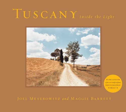 Amazon.com: Joel Meyerowitz: Retrospective: 9781938922701: Goertz