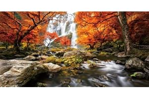 GOTLOS Tropical Forest Waterfall Maple Leaf Aquarium Background, Natural Waterfall Forest Tree Reptile Habitat Terrarium Background 72X18IN with 10 EVA Double-Sided Tape