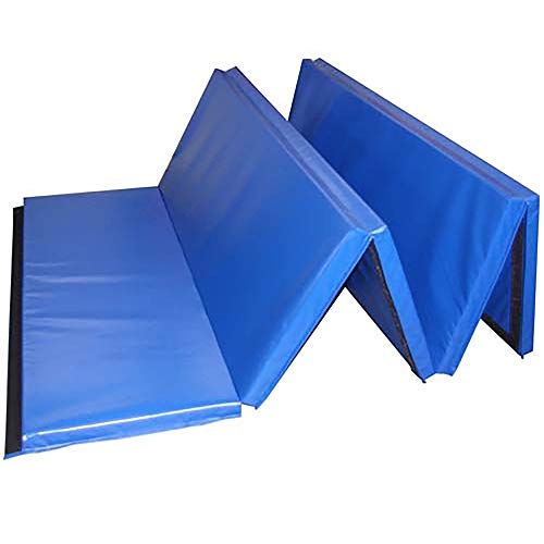 Greatmats Gym Mats 5x10 Ft x 2 Inch, Folding Mats for Martial Arts