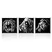 KREATIVE ARTS - 3 Panels Lion King Black and White Canvas Prints Wall Art Modern Painting Wall Pictures for Living Room Office Decoration Ready to Hang (20x20inchx3pcs/set)
