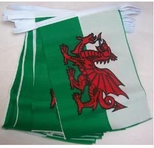 World of Flags 3m 10 flag Welsh Dragon Bunting (Wales)